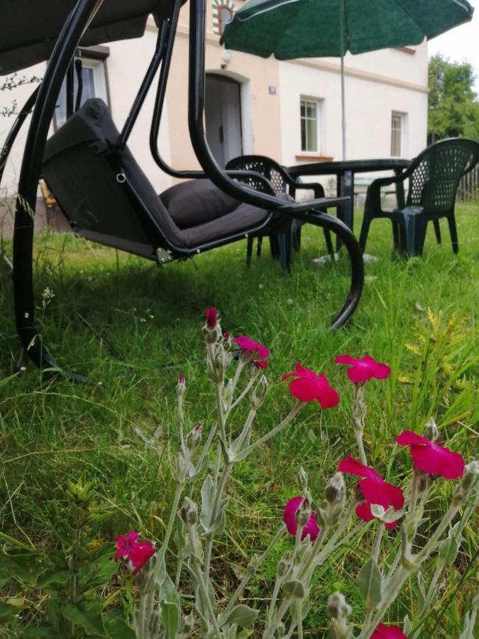 Apartament Cicha Woda Kudowa-Zdrój Eksteriør billede